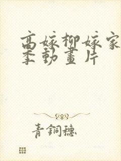 高嫁柳嫁家第二季动画片封面