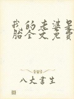 我的老婆是双胞胎全文免费阅读