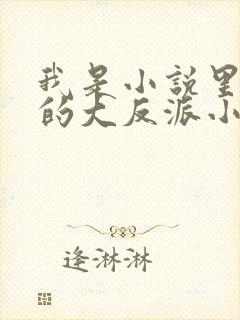 我是小说里共同的大反派小说免费