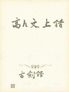 高h文上错封面