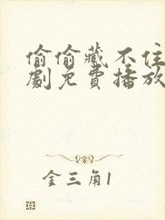 偷偷藏不住电视剧免费播放在线