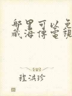 哪里可以免费看藏海传电视剧全集封面