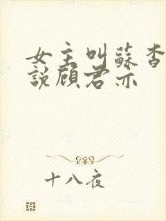 女主叫苏杳的小说顾君亦封面