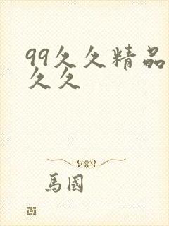 99久久精品久久久封面