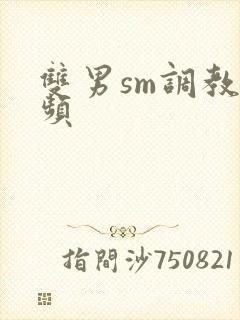 双男sm调教视频