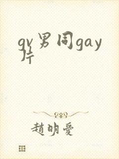 gv男同gay片