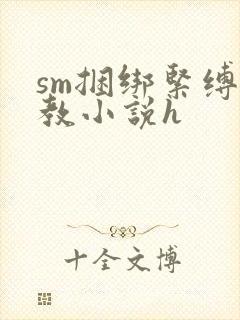 sm捆绑紧缚调教小说h