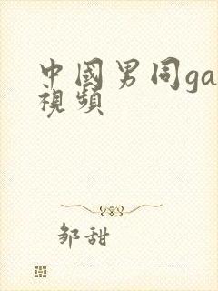 中国男同gay视频封面