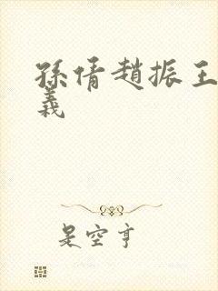 孙倩赵振王申高义封面