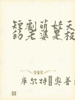 短剧萌娃天降我的老婆是校花