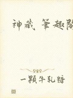 神藏 笔趣阁