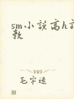 sm小说高h调教