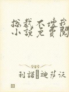 总裁不坏我不爱小说免费阅读