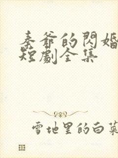 秦爷的闪婚娇妻短剧全集封面