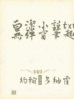 白洁小说txt无弹窗笔趣阁封面