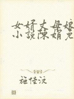 女婿丈母娘言情小说陈娟免费阅读