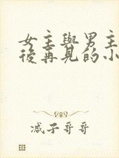 女主与男主四年后再见的小说