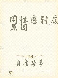 同性恋到底什么原因
