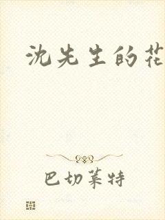 沈先生的花式调