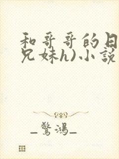 和哥哥的日夜(兄妹h)小说