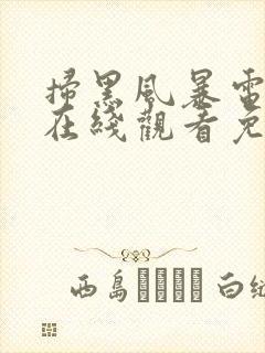 扫黑风暴电视剧在线观看免费25集