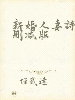 新婚人妻诗岚无删减版封面