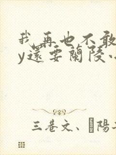 我再也不敢了by还要兰陵小说阅读封面