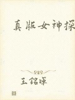 真版女神探侦