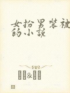 女扮男装被发现的小说