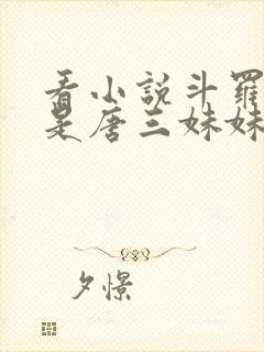 看小说斗罗:我是唐三妹妹