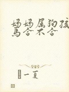 妈妈属狗孩子属马合不合