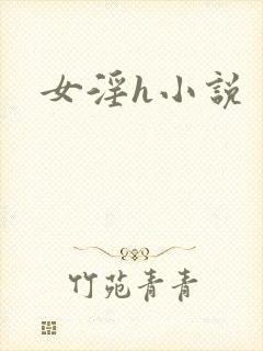 女淫h小说封面