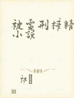 被电刑榨精高潮小说