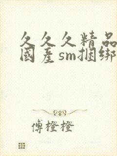 久久久精品调教国产sm捆绑