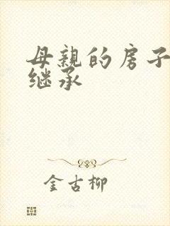 母亲的房子遗产继承