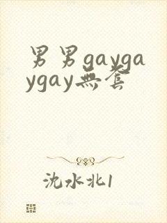 男男gaygaygay无套