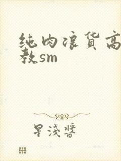 纯肉浪货高h调教sm