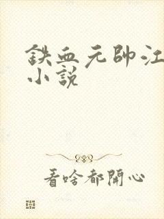 铁血元帅江天的小说