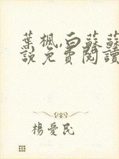 叶枫,白苏苏小说免费阅读全文封面