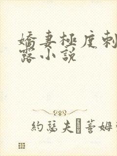娇妻极度刺激暴露小说封面