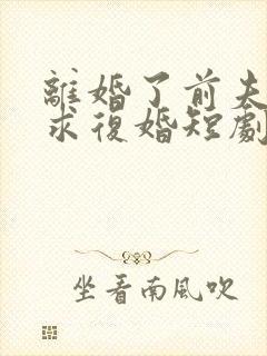 离婚了前夫哭着求复婚短剧封面