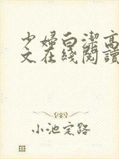 少妇白洁高义全文在线阅读