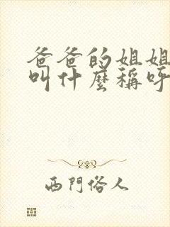 爸爸的姐姐儿子叫什么称呼