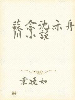 苏念沈亦舟沈亦川小说