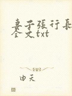 妻子张行长升职全文txt