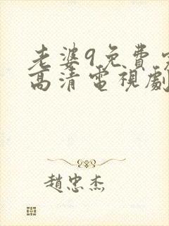 老婆9免费完整高清电视剧看封面