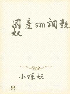 国产sm调教男奴