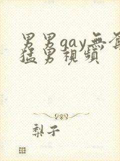 男男gay无套猛男视频