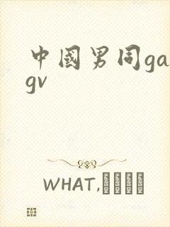 中国男同gaygv