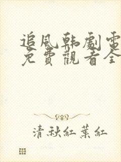 追风韩剧电视剧免费观看全集高清